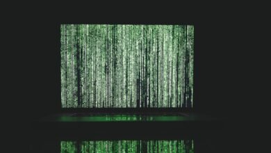 phone number information search