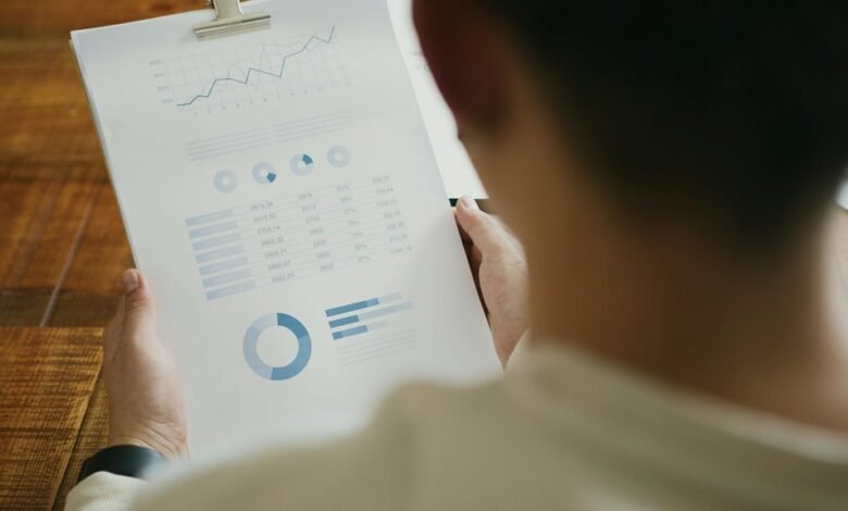 project summary report details