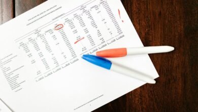 record summary report details