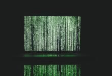 search for phone information