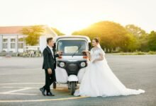 content identifier overview summary