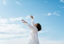 profile performance analysis insights